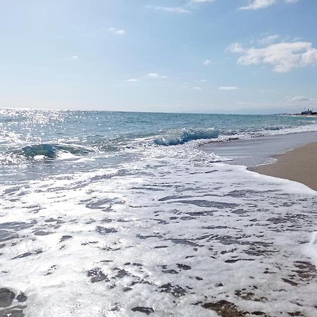 Appartement 3 Pieces Front De Mer Le Barcarès Dış mekan fotoğraf
