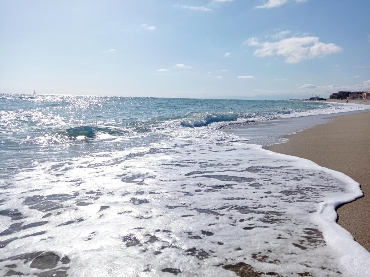 Appartement 3 Pieces Front De Mer Le Barcarès Dış mekan fotoğraf