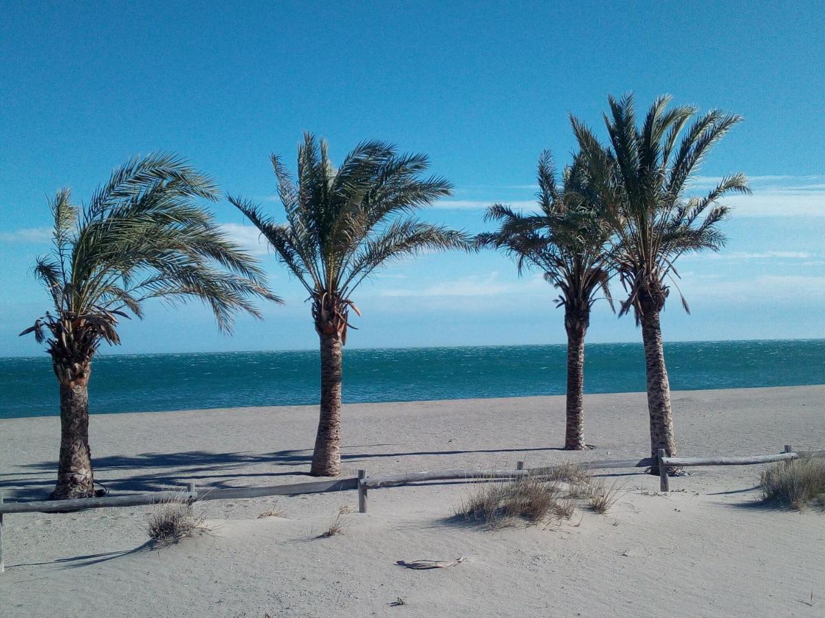Appartement 3 Pieces Front De Mer Le Barcarès Dış mekan fotoğraf